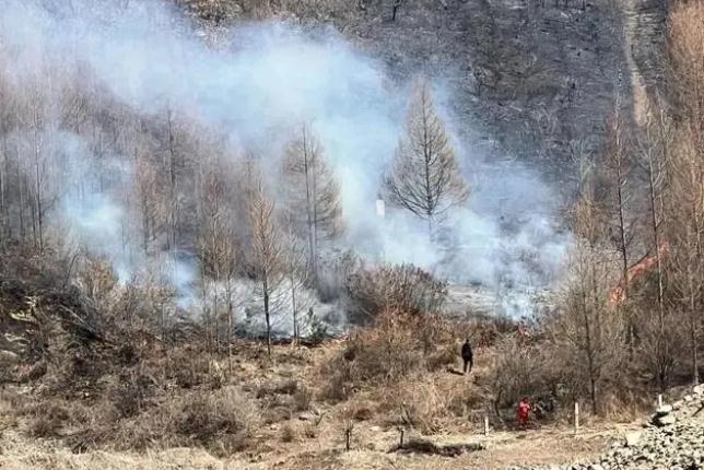 明火已撲滅，初步判斷由祭祀用火引發(fā)！今年已發(fā)生多起